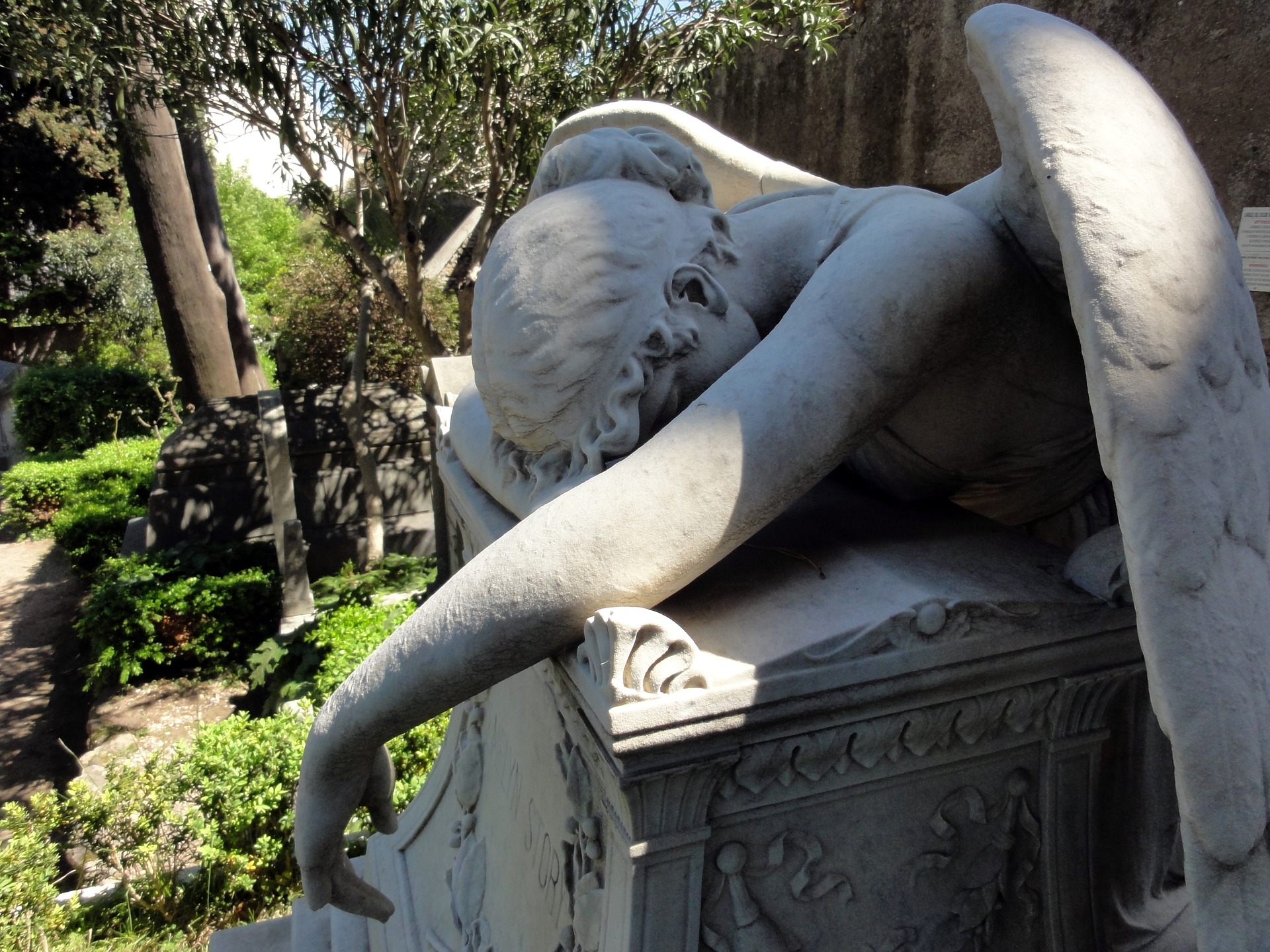 Cimiteri Capitolini Visite Guidate Nei Cimiteri Di Roma Turismo News